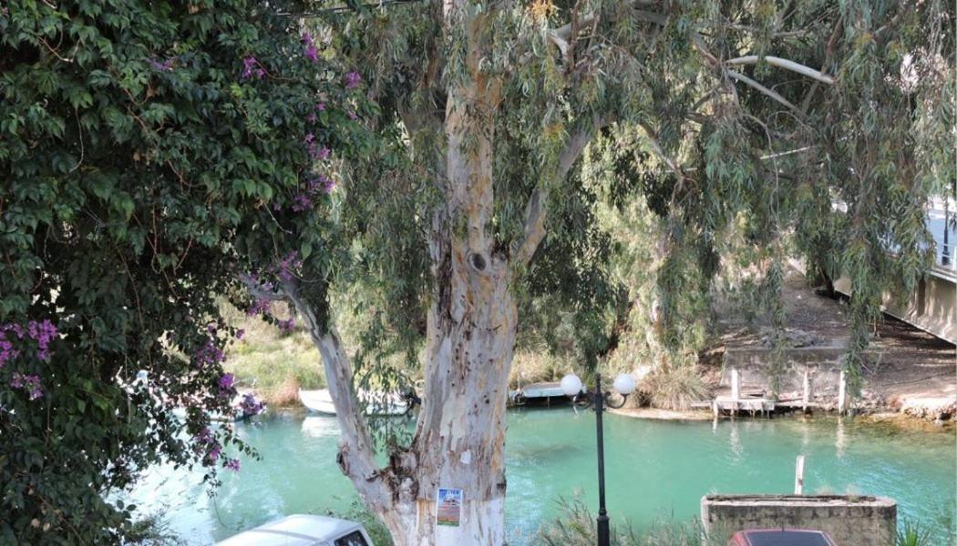 Egeon Rooms And Studios Georgioupoli Exterior foto